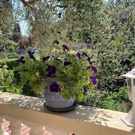 Daire La Cigale Avec Grande Terrasse Menton