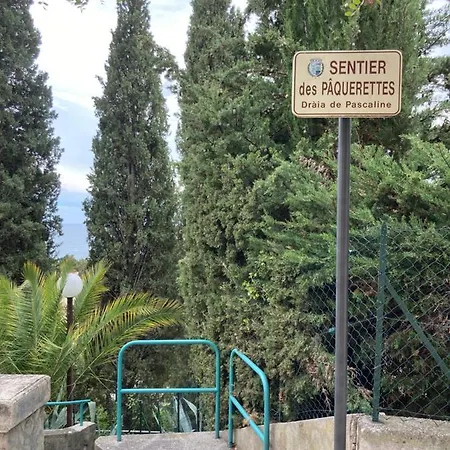 Daire La Cigale Avec Grande Terrasse
