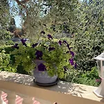 דירה La Cigale Avec Grande Terrasse מנטון