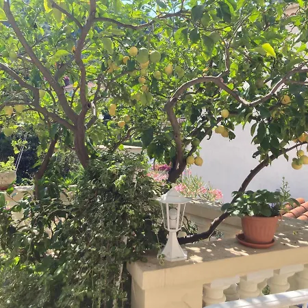 Apartamento La Cigale Avec Grande Terrasse