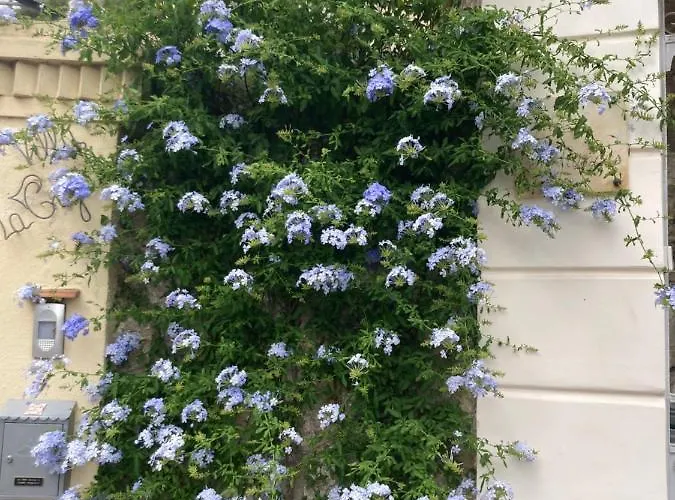 La Cigale Avec Grande Terrasse Lejlighed