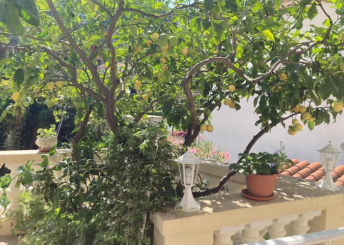 Lejlighed La Cigale Avec Grande Terrasse