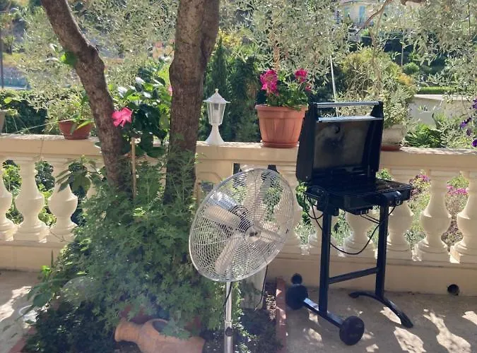 La Cigale Avec Grande Terrasse *